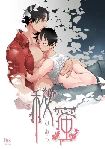 Himitsu | Secret â€“ One Piece dj manga cover