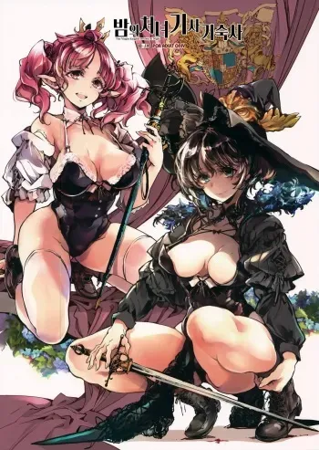(C102) [70 Nenshiki Yuukyuu Kikan (Ohagi-san)] The Virgin Knights secrets at Night | 밤의 처녀기사 기숙사 [korean] manga cover