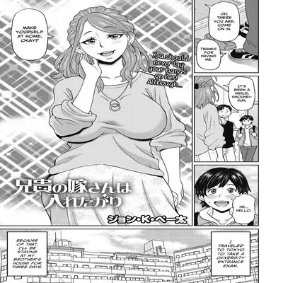 Aniki No Yome-san Wa Iretagari [Original] manga cover