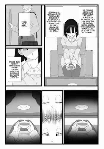 [Hazama-Null] Videl x Goku (Dragon Ball Super) [Spanish][RinkanClub] manga cover