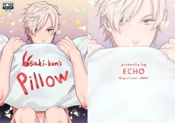 [ECHO (Echo Jiro)] Usaki-kun no Makura [Eng] manga cover