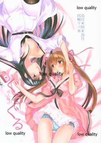 (Girls Love Festival 27) [Suraimu no Youna Nanika (Sentaku Nori)] Guruguru (Akai Ito) manga cover