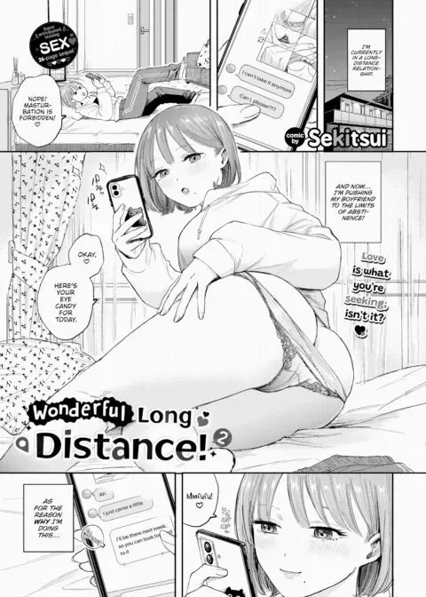Wonderful Long Distance! 2 manga cover
