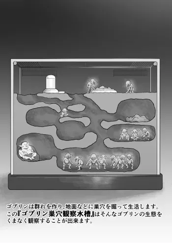 [Ruchian] 【Shougeki】Goburin no Suana ni Mesu wo Tounyuushite Kansatsushita Kekka ga Yabasugita manga cover