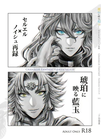 ["S" Shimensoka (Nanagyou Megumu)] Kohaku ni Utsuru Aidama Seruel x Naoise Sairoku (Granblue Fantasy) [Digital] manga cover