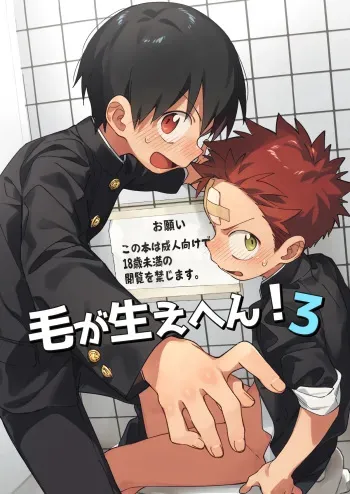 Ke ga Haehen! 3 manga cover