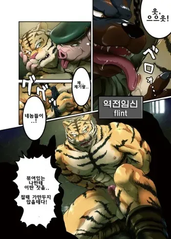 [flint] Gyakuten Ninshin | 역전임신 [Korean] manga cover