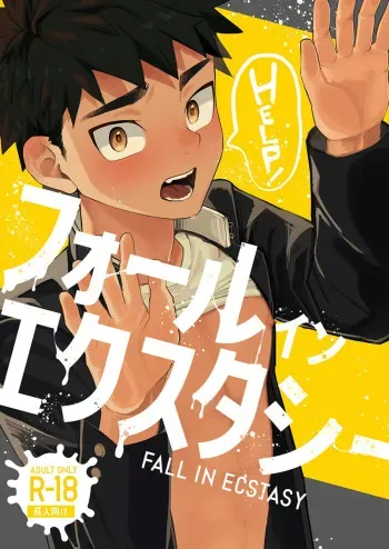 Fall In Ecstasy manga cover