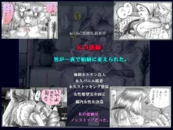 [Nyoninka Kenkyuujo] K no Akuheki manga cover