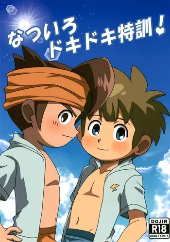 (ShotaFes 17) [Inu no Kotekitai (Chi-tama)] Natsuiro Dokidoki Tokkun! (Inazuma Eleven) manga cover