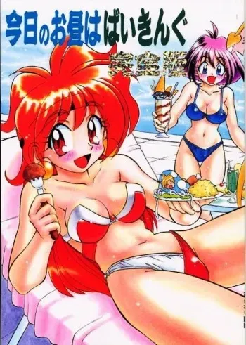 (C53) [Himawari Endan (Various)] BTB-21 Kyou no Ohiru wa Viking Kanzenban (Slayers) manga cover