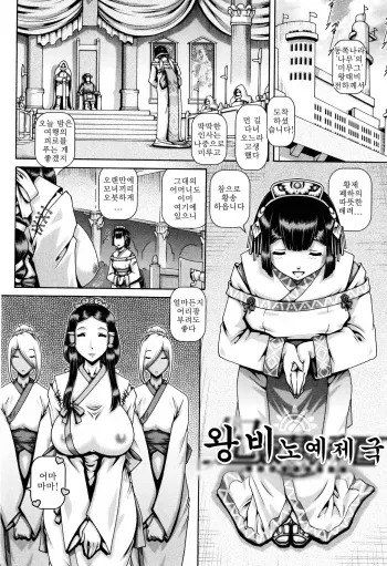 [TYPE.90] Kisaki dorei no tei kuni | 왕비 노예 제국 (Jyuai Kantsu) [Korean] manga cover