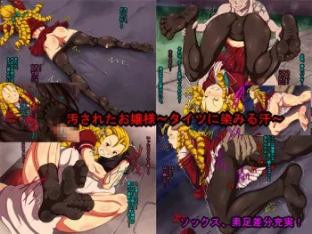 [L-u (Makura no Doushi)] Kegasareta Ojou-sama -Tights ni Shimiru Jiru- (Street Fighter) manga cover