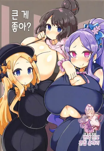 (C94) [Yakousei Fanclub (Detritus)] Ookii no ga Osuki? | 큰 게 좋아? (Fate/Grand Order) [Korean] [팀☆데레마스] manga cover
