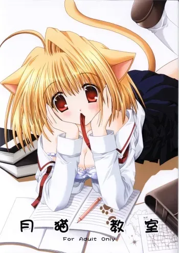 (C63) [Neko Kinryouku (NekoNeko)] Tsukineko Kyoushitsu (Tsukihime) manga cover