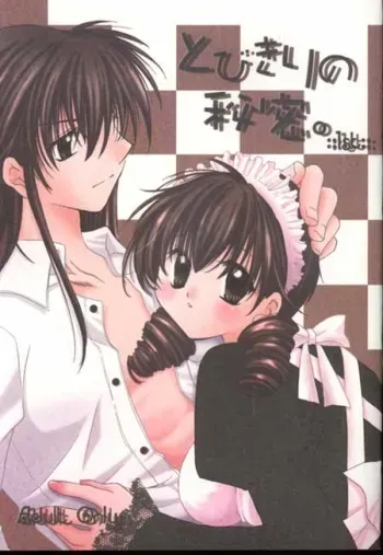 (C64) [Sakurakan (Seriou Sakura)] Tobikiri no Himitsu (Inuyasha) manga cover