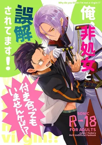 [Sonic (PANA)] Ore, Hishojou to Gokai Saretemasu! (Re:Zero kara Hajimeru Isekai Seikatsu) [Digital] manga cover