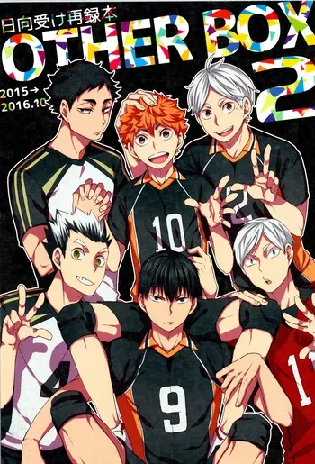 (RTS!! 15) [Yojohan (fzou)] Hinatauke Sairokuhon OTHER BOX 2 (Haikyuu!!) manga cover