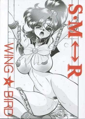 (C62) [Jingai Makyou Club (Wing☆Bird)] S·M↔R (Sailor Moon) manga cover