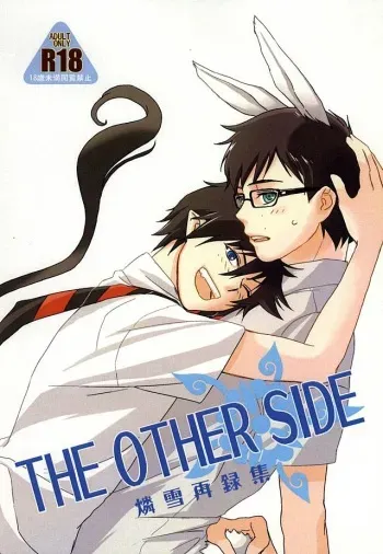 (SUPERKansai20) [Otonashi-ya (Otonashi)] THE OTHER SIDE (Ao no Exorcist) manga cover