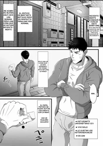 [Shiro] Ana o Nozoku to… [Spa] manga cover