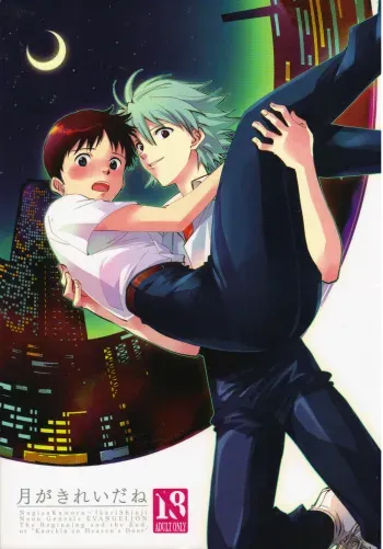 (C79) [WILDCAMEL (Indo Tomoyoshi)] Tsuki ga Kirei da ne (Neon Genesis Evangelion) manga cover