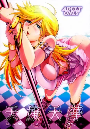 (C79) [Kawaraya Honpo (Kawaraya A-ta)] Tenjou Tenge (Panty & Stocking with Garterbelt) [German] [Schmidtsst] manga cover