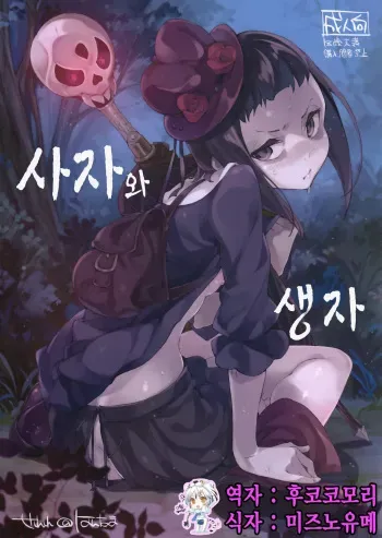 (C87) [Hannama (Serere)] Shisha to Seija (Rage of Bahamut) [Korean] [후코코모리] manga cover