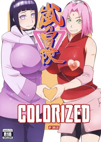 Arashi no Bouken manga cover