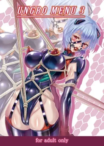 (C100) [Jumelles (Hawkear)] UNGRO MENU 3 (Neon Genesis Evangelion) [Korean] manga cover