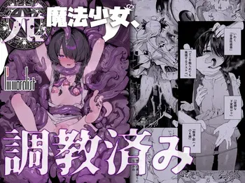 [I'm moralist (Yanagihara Mitsuki, InuSamrai, Hujinon)] Moto Mahou Shoujo, Choukyou Zumi [Digital] manga cover