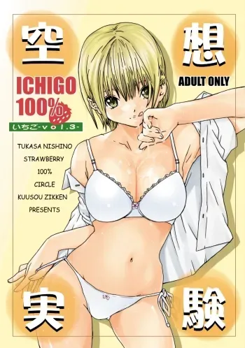 Kuusou Zikken Ichigo Vol.3 manga cover