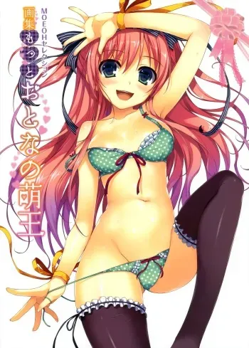 MOEOH Selection Artbook: Motto Otona no Moeoh manga cover
