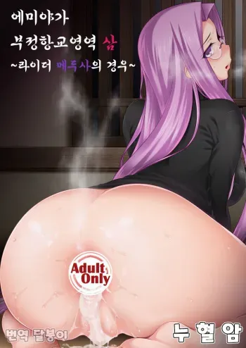 (C96) [Ruiketsuan (Namidame)] Emiya-ke Futei Koukou Ryouiki San ~Rider Medusa no Baai~ | 에미야가 부정항교영역 3 ~라이더 메두사의 경우~ + 작가 픽시브 야짤 (Fate/stay night) [Korean] [달붕이] manga cover