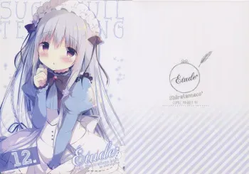 (C91) [Shiratamaco (Shiratama)] Étude 12 manga cover