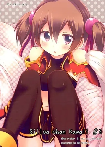 Silica chan kawaii β2 manga cover