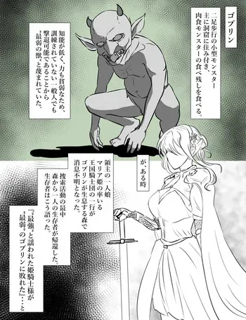 [Tomii Roba] Hime Kishi vs Goblin manga cover