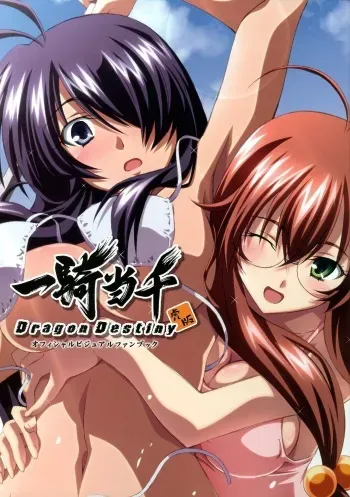 [TORANOANA] Ikkitousen Dragon Destiny Offical Visual Fan Book manga cover