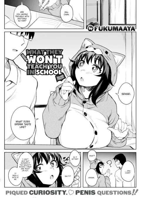 What They Won't Teach You in School ~Second Period~ manga cover