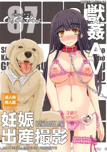 (C87) [Shiawase Kyouwakoku (Shiawase no Katachi)] Shiawase no Katachi no Guruguru Netachou 87 Juukan AV Ninshin Shuusan Satsuei [English] [ATF] manga cover
