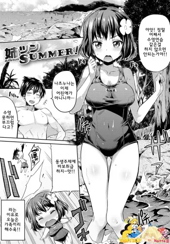 [Hinotsuki Neko] Anetsun Summer! (Kinkyori Koubi) [Korean] [TM Necro Fantasia] [Digital] manga cover