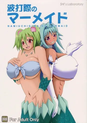 (C85) [SHi's Laboratory (SHINGO)] Namiuchigiwa no Mermaid (Namiuchigiwa no Muromi-san) manga cover