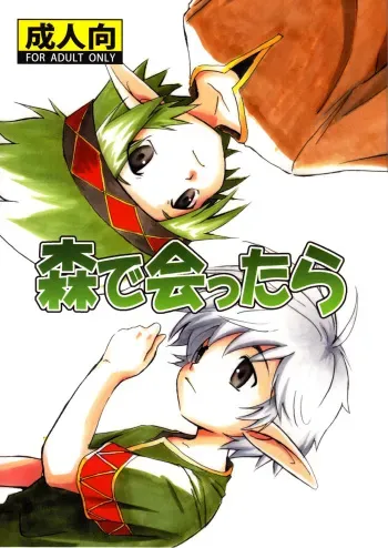 [Zukaishiki (Kaito Shirou)] Mori de Attara [English] [Shotachan] [Decensored] manga cover