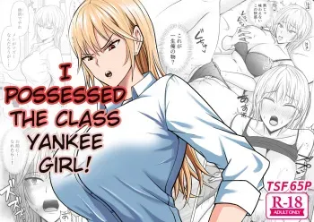 I Possessed the Class Yankee Girl 1-6 manga cover