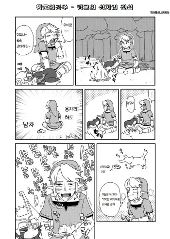 [Norihito] TwiPri Link no Seishori Densetsu | 황혼의공주 - 링크의 성처리 전설 (The Legend of Zelda) [Korean] [LWND] manga cover