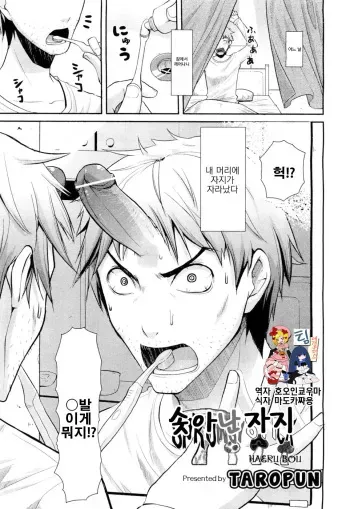 [Taropun] Haeru Bou | 솟아난자지 (COMIC Aun 2012-03) [Korean] [팀 애갤러스] manga cover
