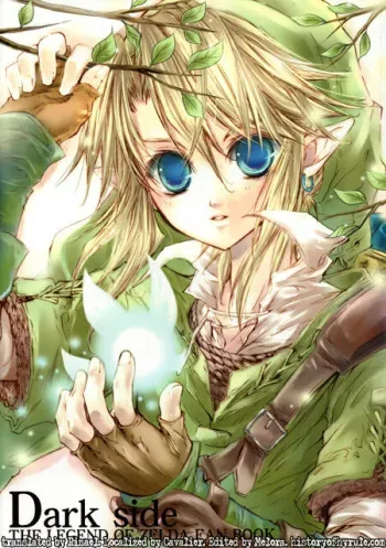 Legend of Zelda - Dark Side manga cover