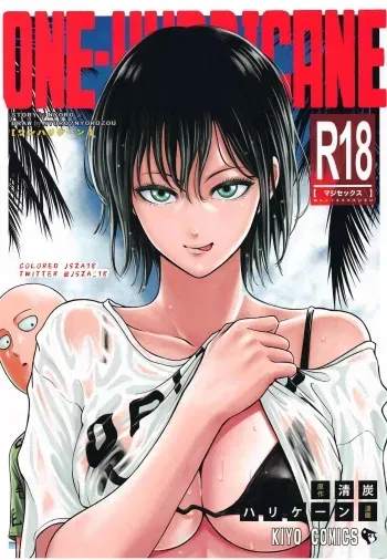 ONE-HURRICANE 6-5 FULL COLOR manga cover