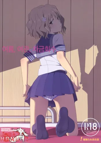 (C80) [Hito no Fundoshi (Yukiyoshi Masumi)] Natsu, Ryokan, Shakkintori. (Hanasaku Iroha) [Korean] [Team HA-NU] manga cover