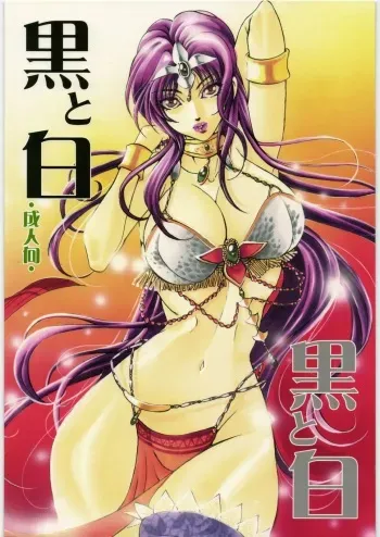 [SFT (Kawakami Takashi, Itou Nozomi)] Kuro to Shiro (Dragon Quest IV, Samurai Warriors 2) manga cover